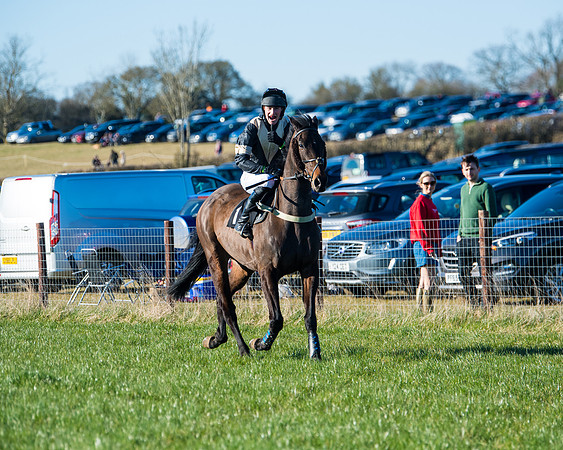 Race 6 - Restricted  (2 of 291)