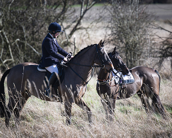 Pony Races (74 of 112)