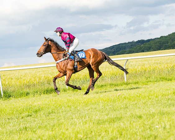 Race 6 - Open Maiden (38 of 227)