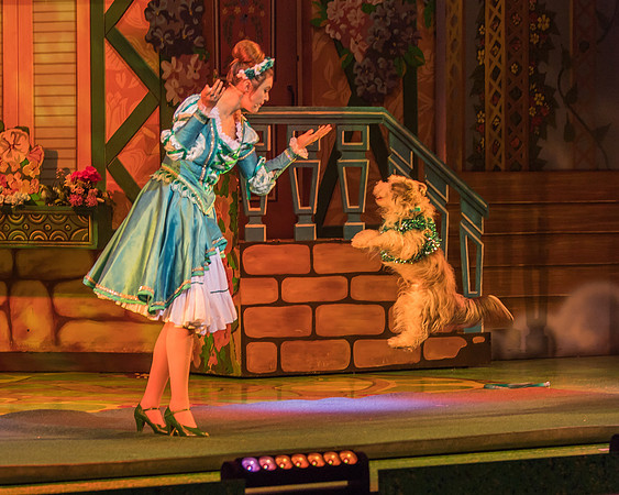Swan Panto 2017