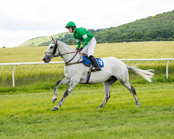 Race 1 - Owner Trainer Conditions  (33 of 133)