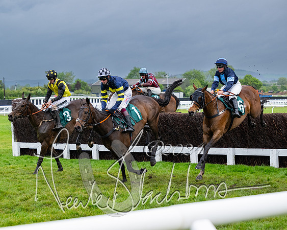 Race 5 - Mares Open  (46 of 129)