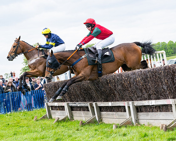 Race 2 - Veteran Horse (45 of 80)