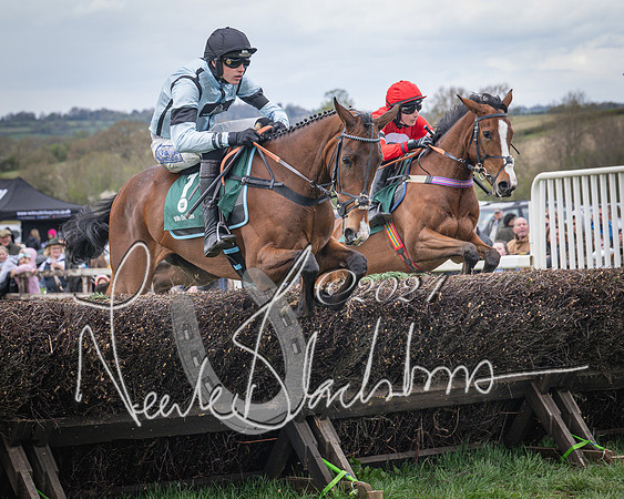 Race 2 - Tattersalls Cheltenham 4 year old Maiden (28 of 85)
