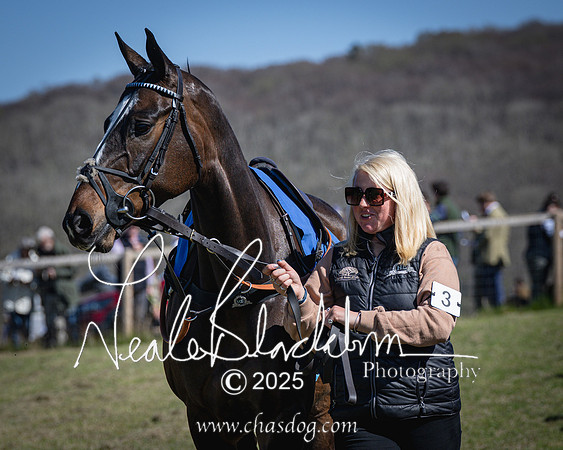 Race 2 - The Maiden (4 of 118)