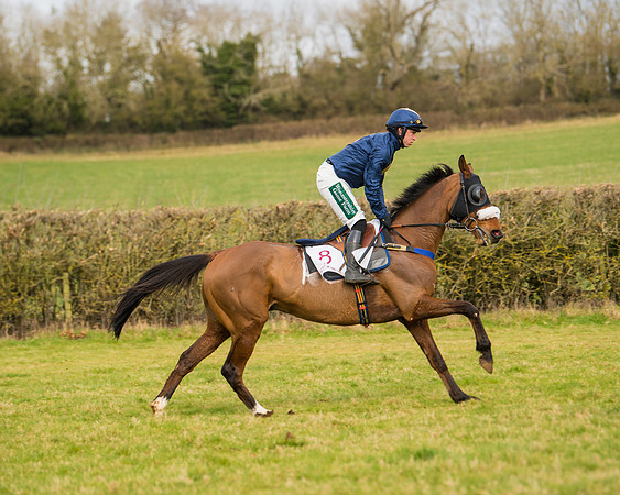 Race 2 - Open Maiden (46 of 128)
