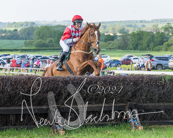 Race 7 - Veteran Horse (88 of 246)