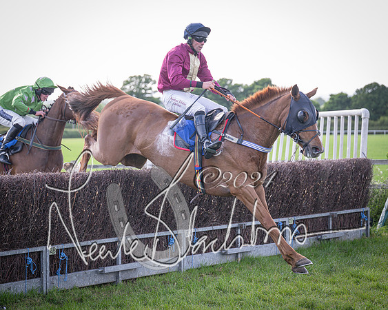Race 6 - Thorn Plant Hire Maiden Race (106 of 129)