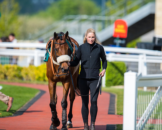Race 1 - The open Hunter chase  (11 of 95)
