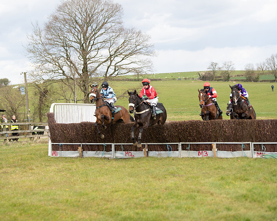 Race 2 - Young Horse Maiden (36 of 104)