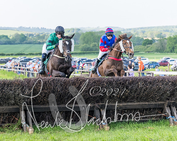 Race 7 - Veteran Horse (74 of 246)