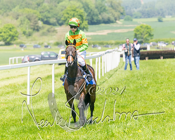 Pony Races  (21 of 141)