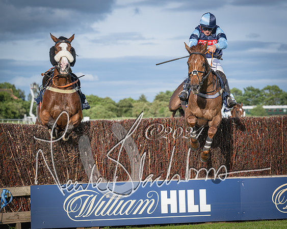 Race 3 - The pointtopoint.co.uk champion novices’ Hunter Chase (115 of 140)