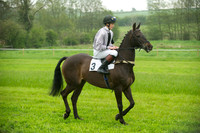 Ponies - 14