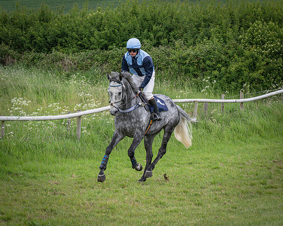 Race 5 - 3 Mile Maiden [NWFAA] (9 of 95)