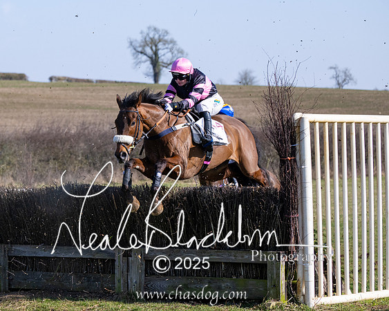 Race 1 - Maiden (100 of 188)