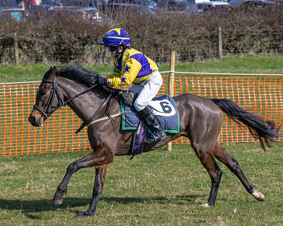 Pony Race 2 - 138cm (56 of 65)