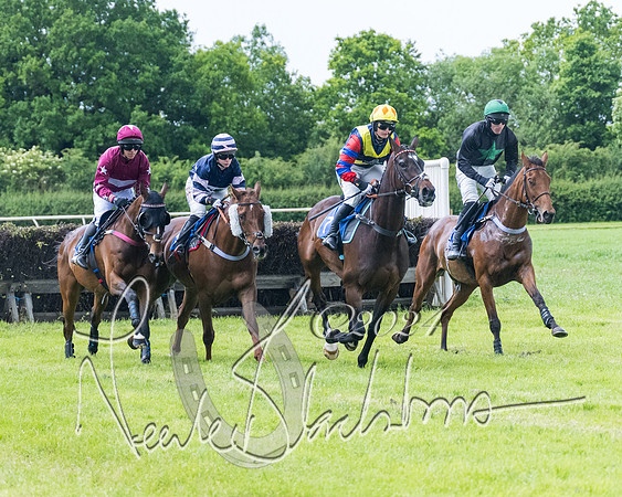 Race 3 - Conditions (174 of 367)