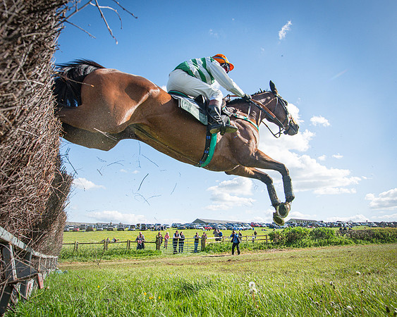 Race 5 - F N Pile and Sons PPORA Novice Riders (94 of 151)