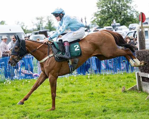 Race 5  - Maiden  (39 of 84)