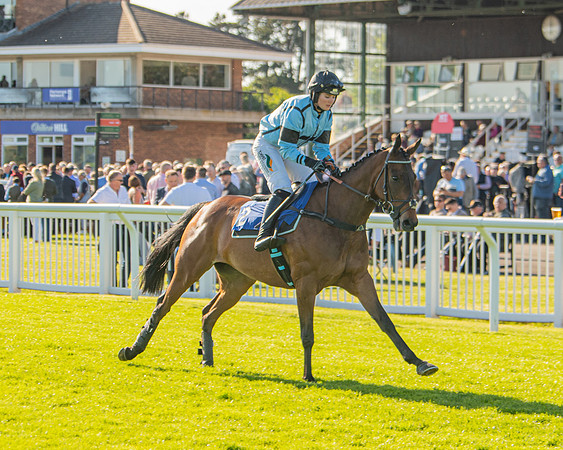 Race 2 - Nimrod Ladies Open (2 of 82)