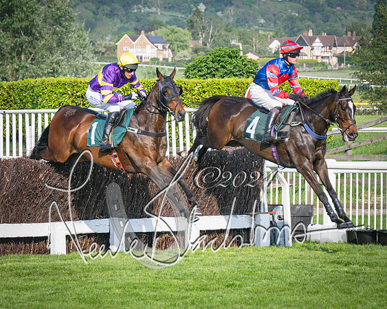 Race 3 - The Junior Jumpers open hunter's steeple chase 3m1f56y (49 of 156)
