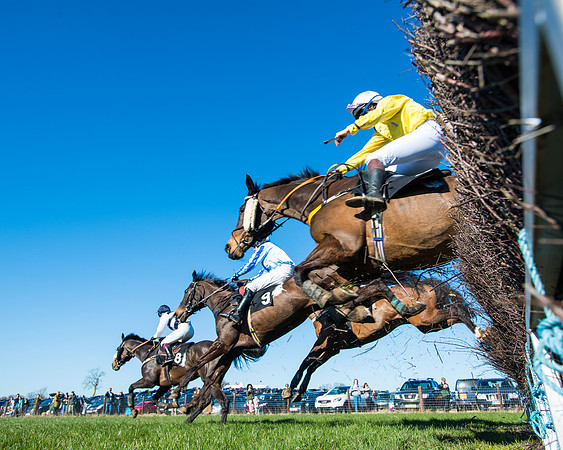 Race 4 - Ladies Open  (84 of 200)