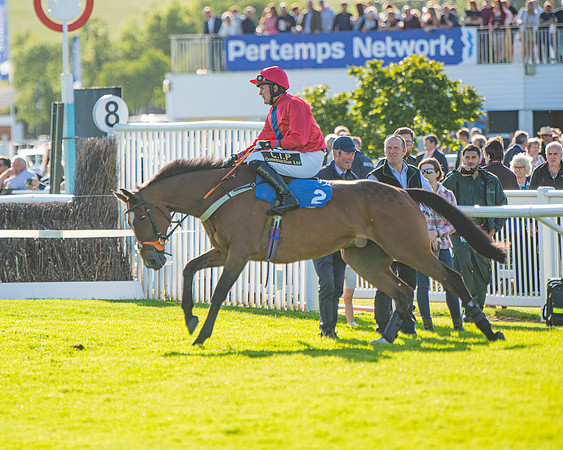 Race 3 - John Corbet Cup (13 of 88)