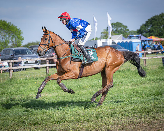 Race 6 - 2m5f Conditions (22 of 70)