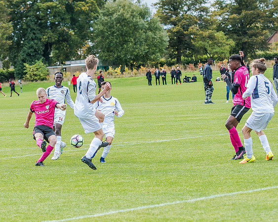 edsv 6-0 191016 (213 of 257)