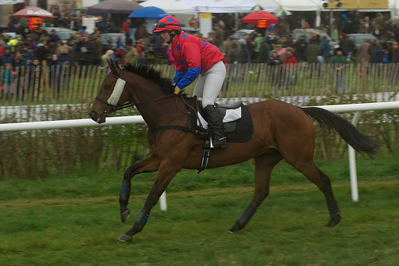 Race 4 - Novice riders 29
