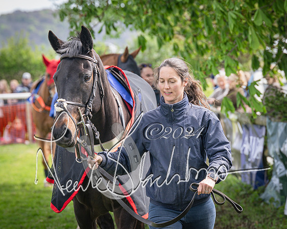 Race 2 - The Elliott of London maiden race (27 of 137)