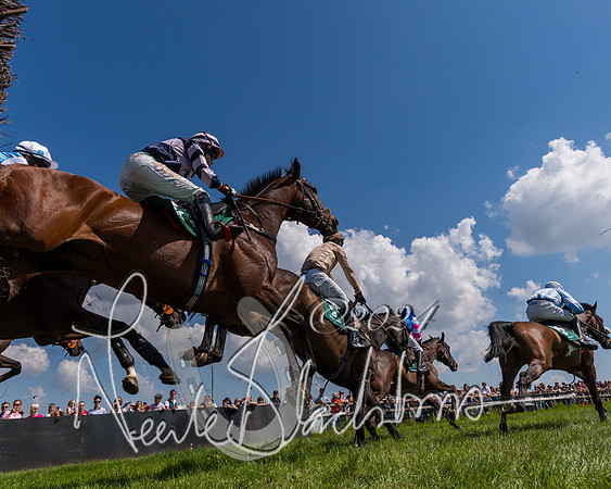 Race 2 - The Maiden  (252 of 442)