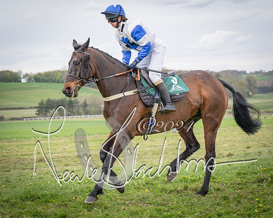Race 5 - Grassroots Riders race (36 of 135)