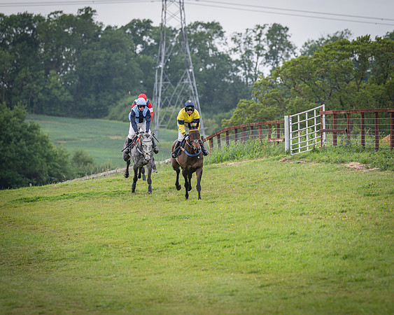 Race 5 - 3 Mile Maiden [NWFAA] (39 of 95)