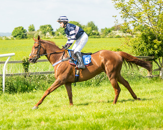 Race 4 - Ladies Open  (15 of 79)