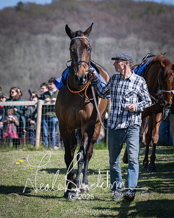 Race 2 - The Maiden (14 of 118)