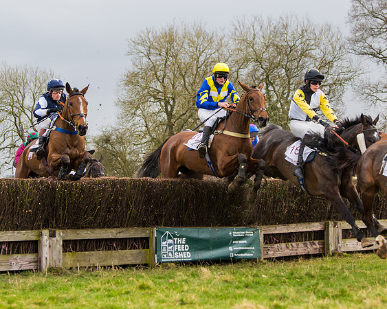 Race 2 - Open Maiden (79 of 128)