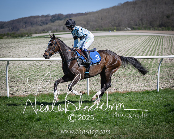 Race 2 - The Maiden (33 of 118)