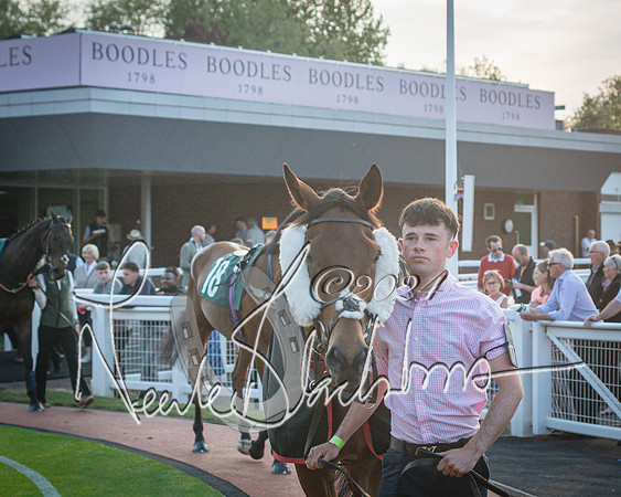 Race 6 - The Brooklands watches Golden Miller chronograph open hunter’s steeplechase 4m 97y (23 of 396)