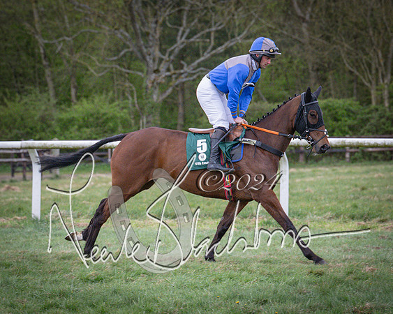 Race 7 - The Jockey Club maiden race for Mares and Fillies only (20 of 96)