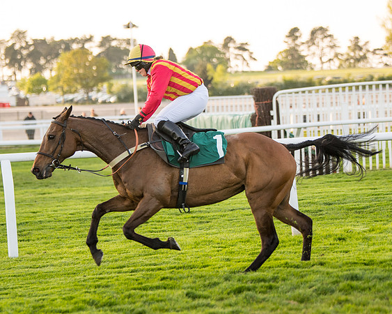 Race 5 - ITM Mares'  (84 of 181)