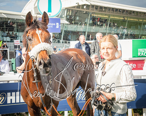 Race 1 - Pointing Pointers Restricted Final (73 of 79)