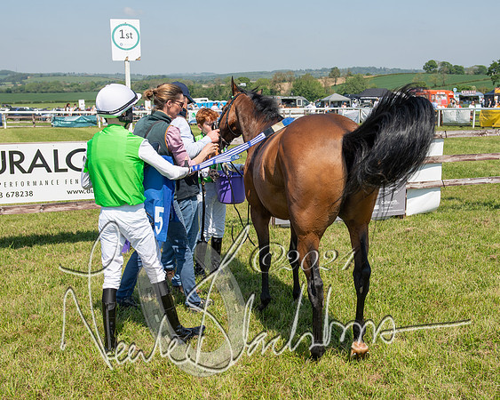 Pony Races  (117 of 141)
