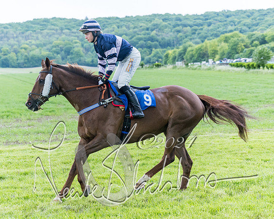 Race 3 - Conditions (113 of 367)