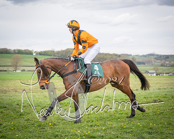 Race 5 - Grassroots Riders race (42 of 135)