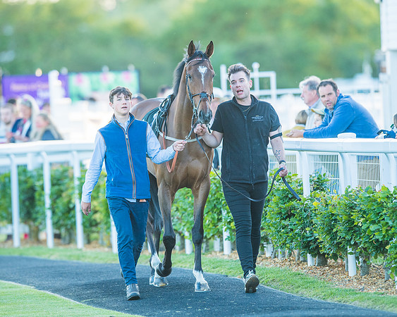 Race 7 - ITM Bumper (5 of 72)