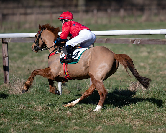 Pony Races (109 of 112)