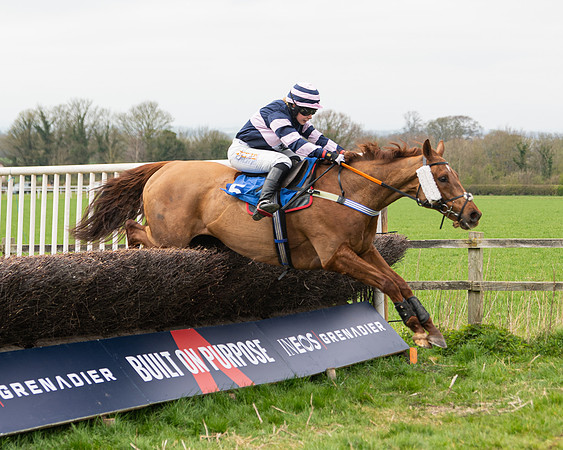 Race 2 - Veteran Horse (101 of 153)