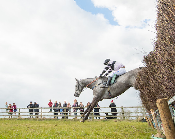 Race 5 - Restricted  (78 of 118)